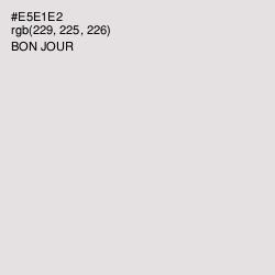 #E5E1E2 - Bon Jour Color Image